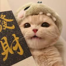 Avatar người dùng Thành